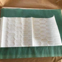 津本式のグリーンパーチペーパー魚の紙