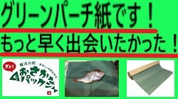 魚屋緑の紙