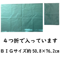 BIGサイズは四つ折りのグリーンパーチです