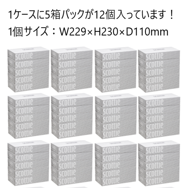 スコッティティシュー200W大量販売です