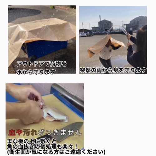 魚を包む緑の紙グリーンパーチペーパーの小分け通販です